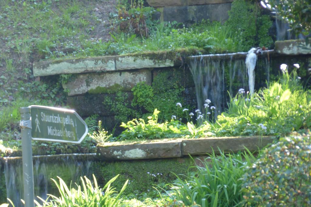 Colibri Baden-Baden